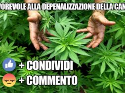 cannabis_si_no
