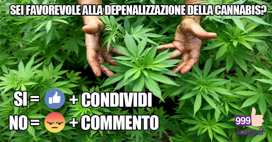 Fateci sapere cosa ne pensate :)