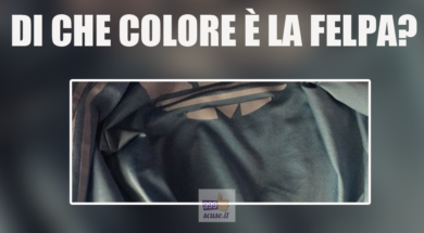 felpa-colore