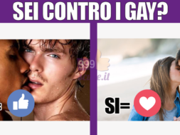 gay