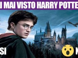 mai_visto_potter