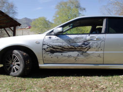 auto