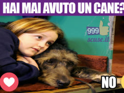 hai_cane