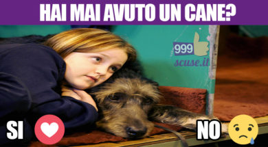 hai_cane