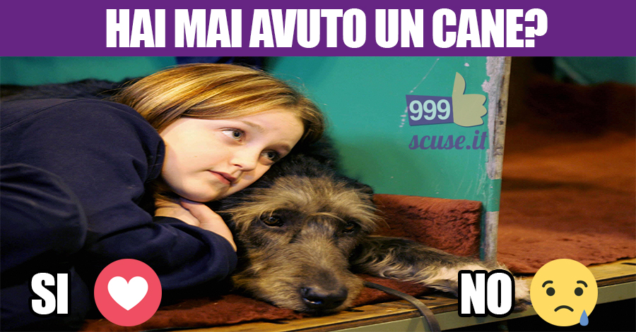 Avete o avete avuto un cane? <3