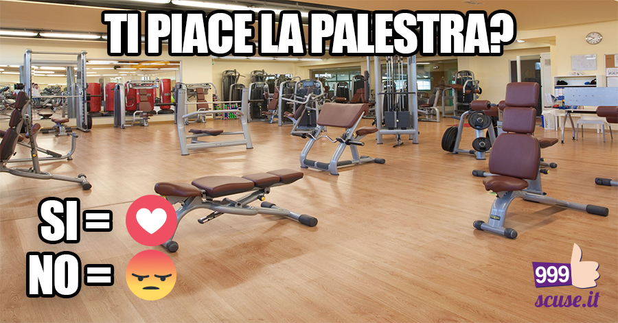 Palestra si o no?