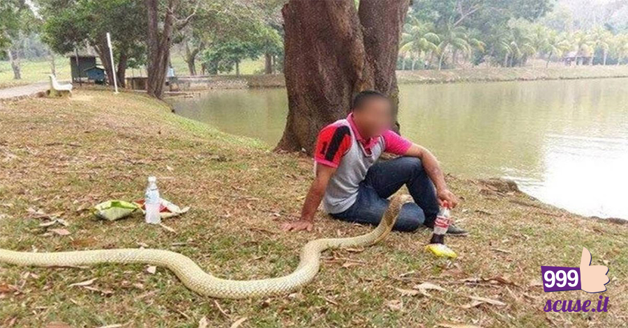 Uomo vive con un cobra e crede sia la reincarnazione della moglie