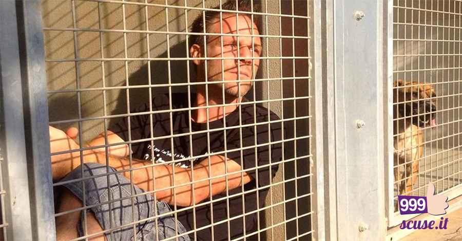 ” Resto in gabbia finchè i 300 cani non saranno adottati “