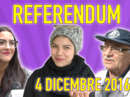 referendum