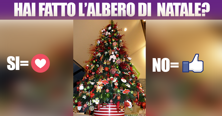 Hai fatto l’albero di Natale?