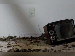 tv rotta